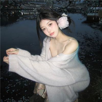 真假王爷