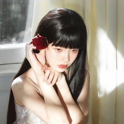 萌犬好声音4